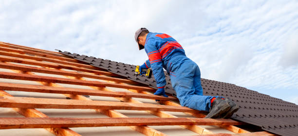 Best Steel Roofing  in New Madrid, MO
