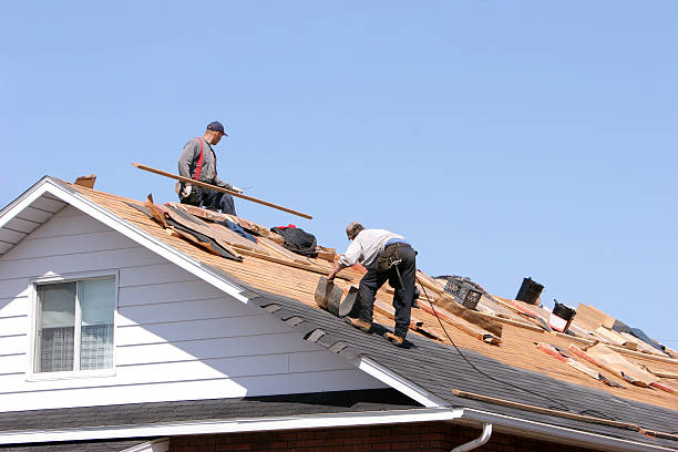 New Madrid, MO Roofing services Company
